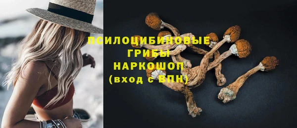 apvp Зеленодольск