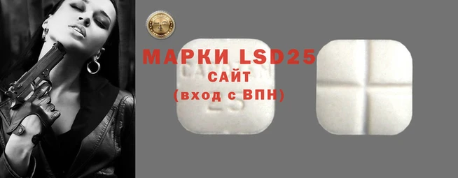 spice Зерноград
