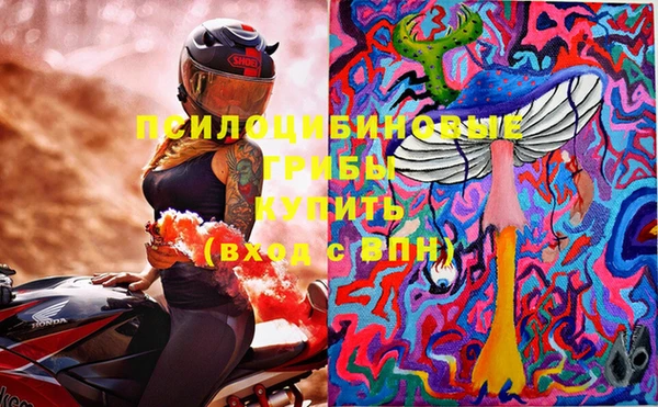 apvp Зеленодольск