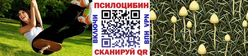 Купить где  Грайворон  Галлюциногенные грибы мицелий 